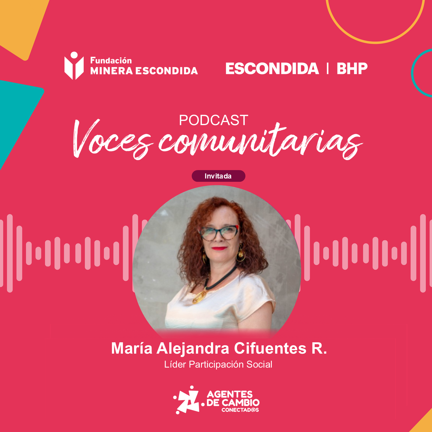 Conecta FME