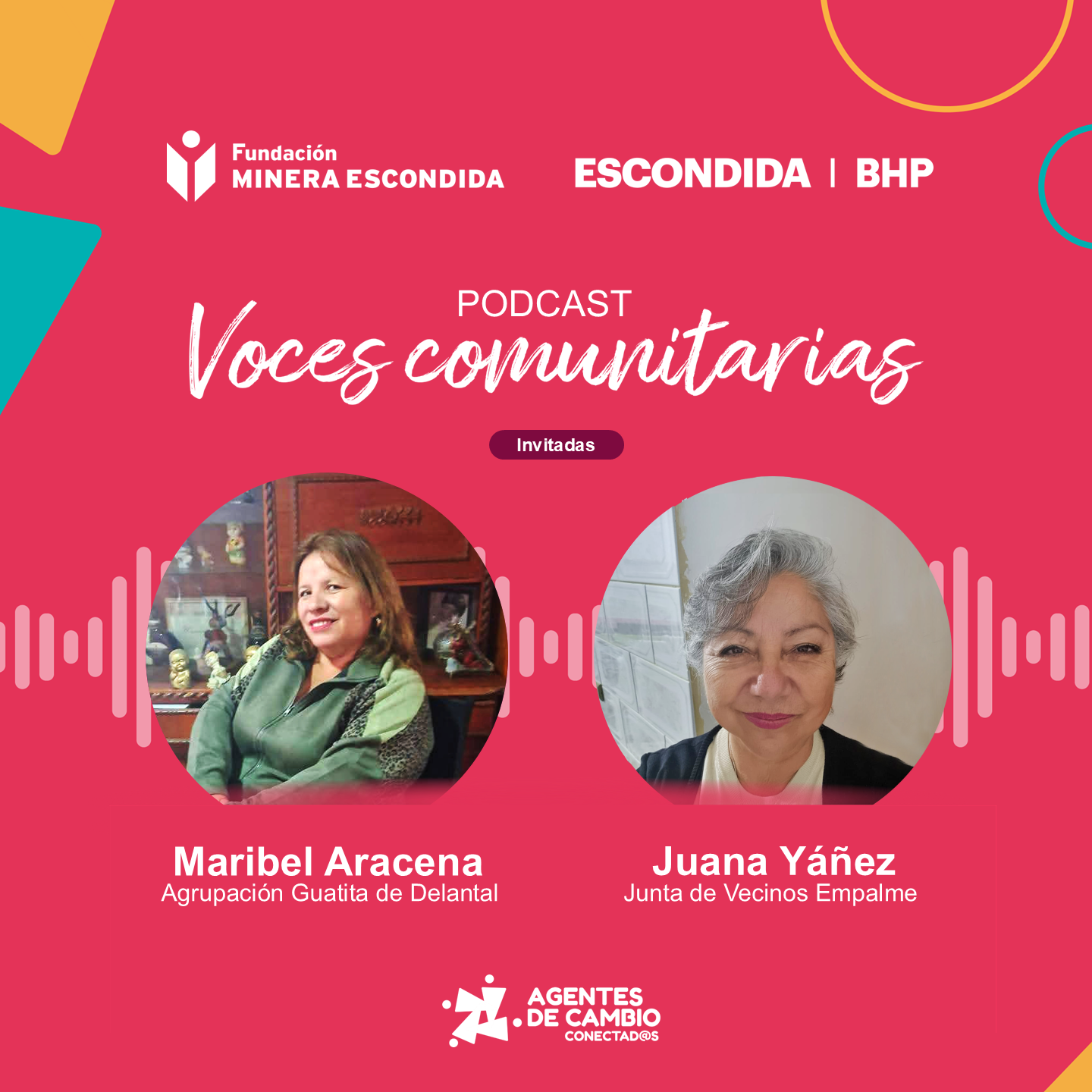 Conecta FME