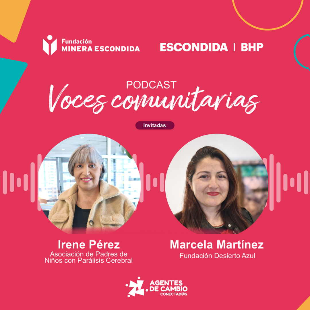 Conecta FME